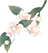 4c30d9a0b54ede5fac7ed46c0ef2dc7f.png